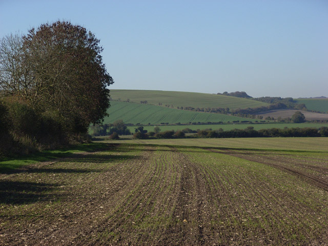 Farmland near Collingbourne  Kingston