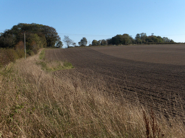 Farmland, Collingbourne Ducis