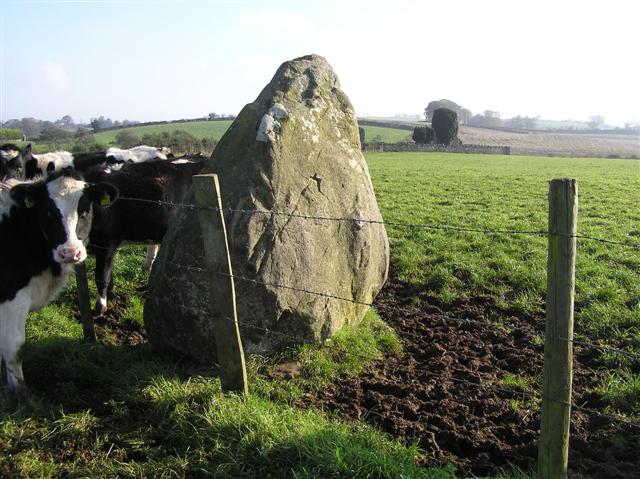 Standing Stone at Donaghendry