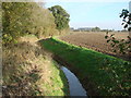 SE5320 : Drainage ditch, off Wood Hall Lane, Womerseley. by Bill Henderson