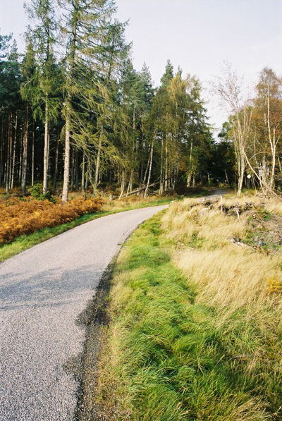 Road near Drummournie