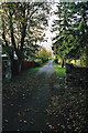 Inviting driveway off Stratherrick Road, Inverness