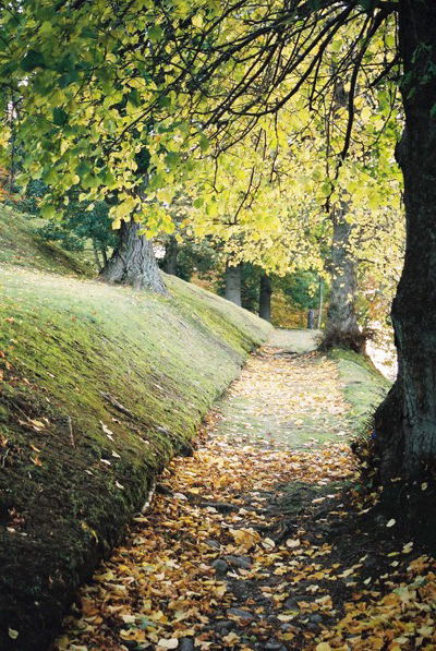 Autumnal path, Tomnahurich Cemetery