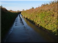 Wet lane to Mount Pleasant