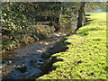 River Piall in Slade Park