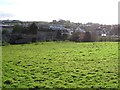 Field at Tamlaght Road, Omagh