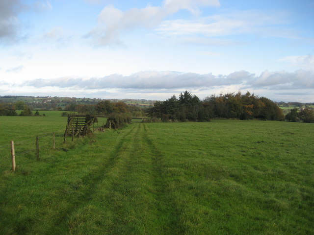 Woods near Winsley Hall Farm