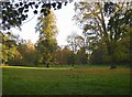 Riverside field off Castle Bank, Appleby