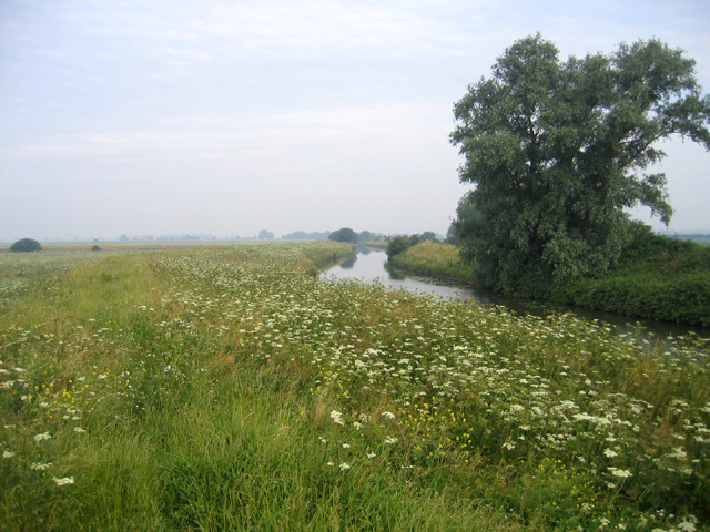 Great Ouse or Old West River, Cottenham,... © Rodney Burton cc-by-sa/2. ...