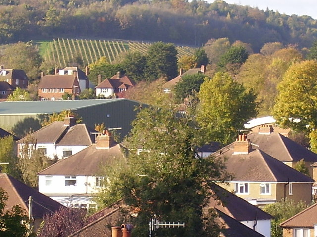 View to North West from TQ1649 in Dorking