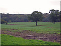 Checkley - near Checkley Wood Farm