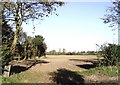 View across fields from Brook Road, Tillingham