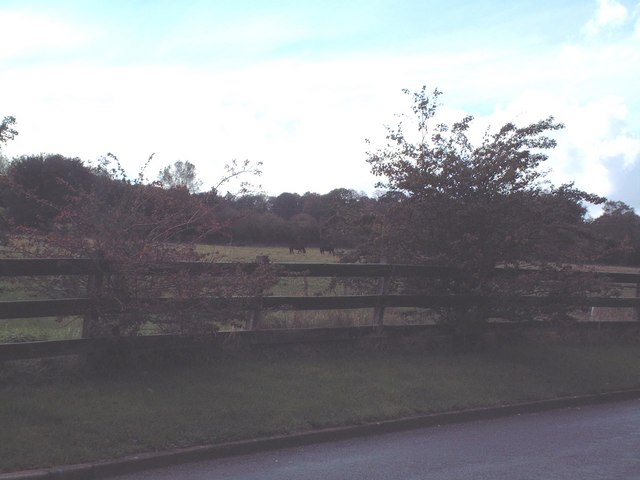 Horse paddocks and farmland viewed from Manor Road