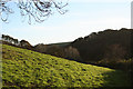 Loxhore: valley near Loxhore Cott