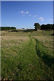 TL7773 : Open Access Land near Icklingham by Bob Jones