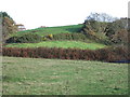 Parc Castell/Castell Fartin,  Cwm Brandy