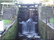 SE1839 : Lock gates by John Illingworth