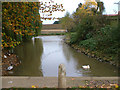 The Pond at Hall Farm