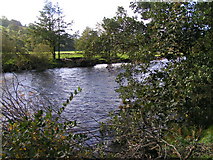SD9998 : River Swale near Feetham Wood by Dave Dunford