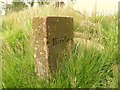 Boundary Stone