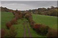 Old railway at Lisnaree near Banbridge (1)