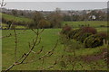 Old railway at Lisnaree near Banbridge (2)