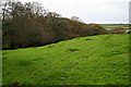 Pasture and Woodland