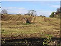 Field near Caer Estyn