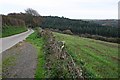 Farmland and Conifers