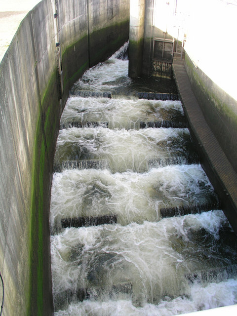 Salmon Leap Bypass - Cardiff Bay Barrage