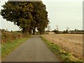 Hall Road, looking towards Semer