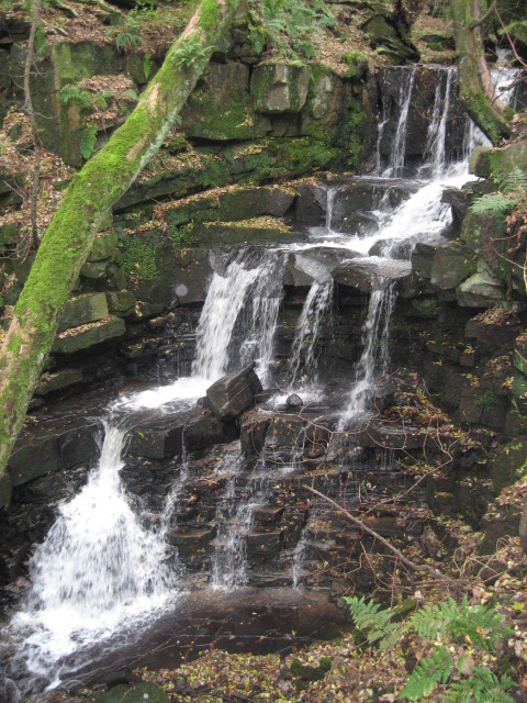 Waterfall above Stubbins at Buckden Wood © Paul Anderson :: Geograph ...
