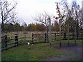 Fitness track, Shipley Country Park