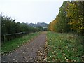 Track, Shipley Country Park