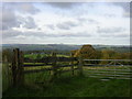 Fence with a view