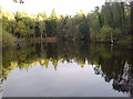 Gypsum pond in High Stand Plantation