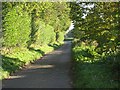 A Lane To Ashill Road