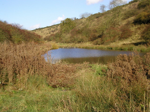 Millington Pastures Pond © Andy Beecroft Geograph Britain And Ireland 4419
