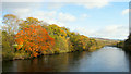 Autumn in Pitlochry