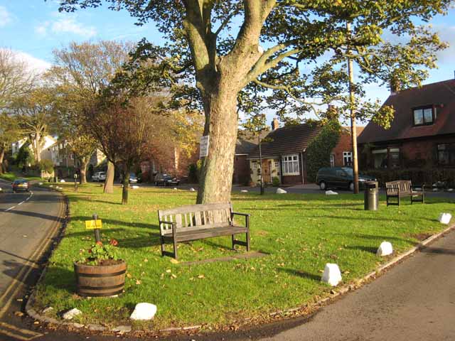 Elwick Village Green