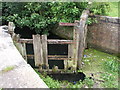 The Decaying Lock Gate, Wansford