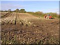 Drumhorrisk Townland