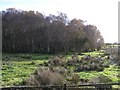 Annaghbeg Townland