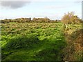 Derryane Townland