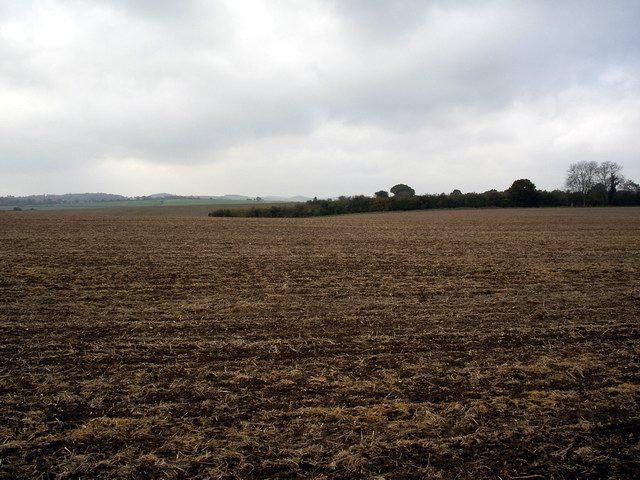 Ploughed field, north of Test Valley