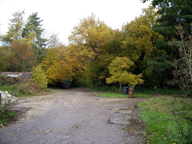 Autumn colours at Upping Copse