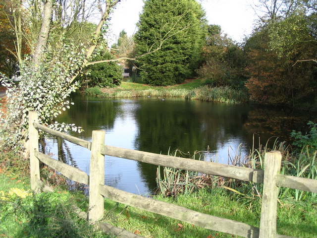 The pond at Cherry Green Farm