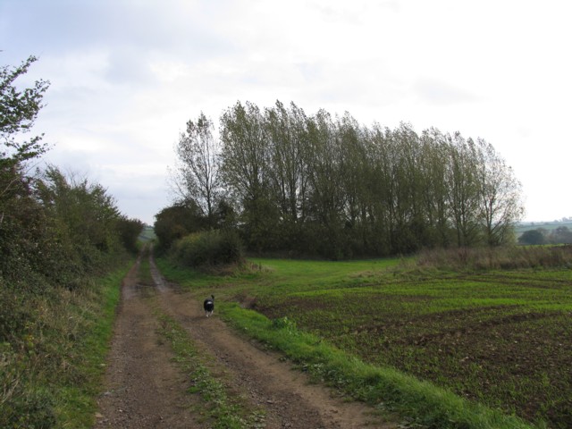 Roman Road towards Corby