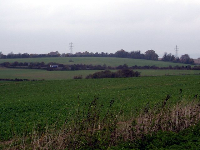 Fields and the A303