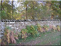 NY5737 : Wall near Little Meg, Little Salkeld by Humphrey Bolton